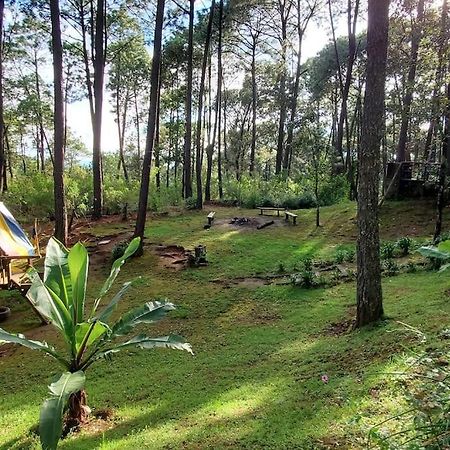 Cabana Rustica A 1Km De Cascada Масамитла Екстериор снимка