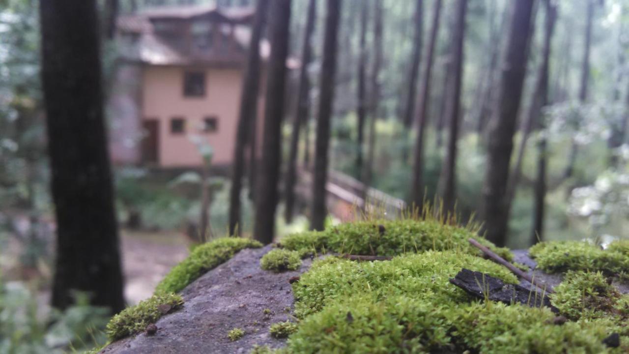 Cabana Rustica A 1Km De Cascada Масамитла Екстериор снимка