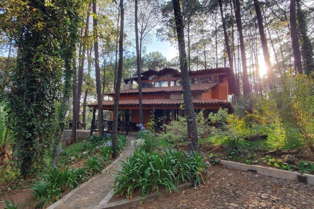 Cabana Rustica A 1Km De Cascada Масамитла Екстериор снимка