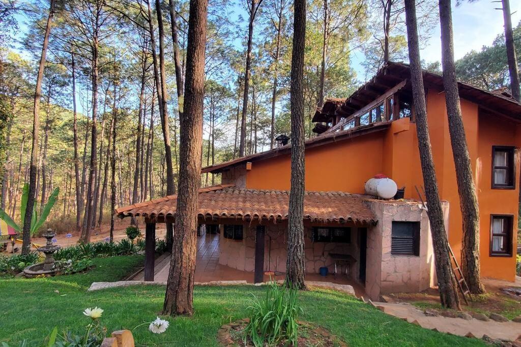 Cabana Rustica A 1Km De Cascada Масамитла Екстериор снимка