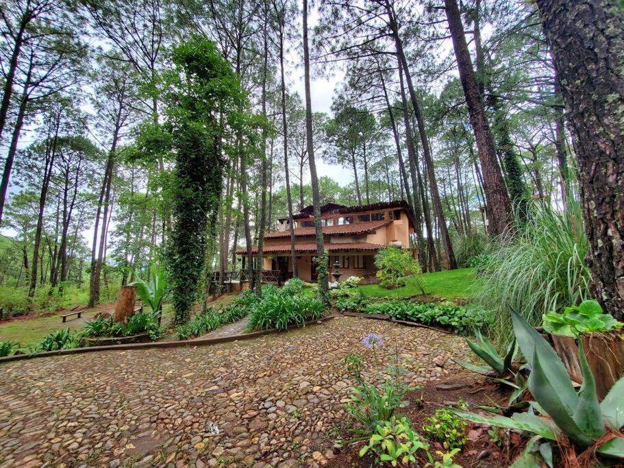 Cabana Rustica A 1Km De Cascada Масамитла Екстериор снимка