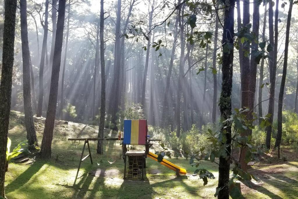 Cabana Rustica A 1Km De Cascada Масамитла Екстериор снимка