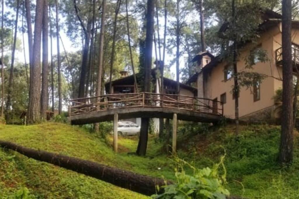 Cabana Rustica A 1Km De Cascada Масамитла Екстериор снимка